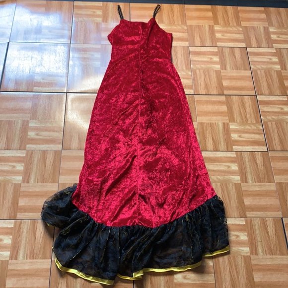 Donated Flamenco Spanish Dancer Costume w/ Shawl - Adult OS LNC - Picture 13 of 15